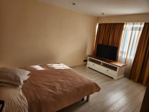 a bedroom with a bed and a flat screen tv at Durdun-central in Câmpulung