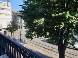 a tree sitting on a balcony next to a street at PORTO RICO STUDIOS in Porto