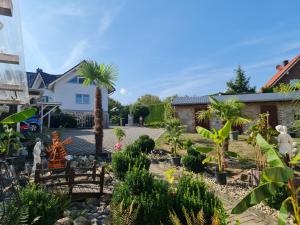 a garden with palm trees and a bench at Ferienwohnungen Fam. Bartl in Bad Suderode