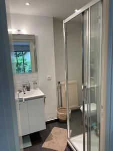 Un baño con ducha, lavabo e inodoro. en Agréable et moderne studio à Neuilly avec jardin, en Neuilly-sur-Seine