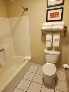 a bathroom with a toilet and a tub and towels at Comfort Inn & Suites Riverview near Davenport and I-80 in Le Claire