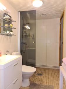 サーリセルカにあるApartment Seutuのバスルーム(シャワー、トイレ、シンク付)