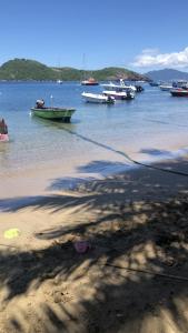 un grupo de barcos en un cuerpo de agua en Habitation SANTOS 4 personnes Terre de Haut Les Saintes, en Terre-de-Haut