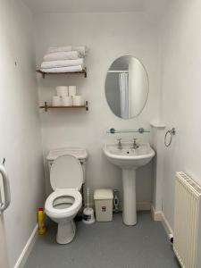 y baño con aseo, lavabo y espejo. en Cosy Cottage in beautiful Royal Deeside, en Aboyne