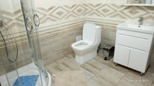 ein Bad mit einem WC, einem Waschbecken und einer Dusche in der Unterkunft Hotel Avatar in Oleksandriya