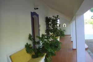 einen Flur mit Topfpflanzen in einem Gebäude in der Unterkunft Apartamento das Bolotas. in Lavre