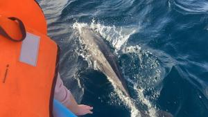 Zdjęcie z galerii obiektu Plastic Bottle House - Dune Towers w mieście Kalpitiya +41 zdjęć