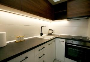 Kuchyň nebo kuchyňský kout v ubytování Apartment Iva