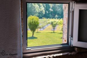 Um jardim em Quinta de Requeixo