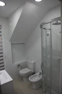 a bathroom with a toilet and a glass shower at Apartamentos Alogia, Pastora, Yerbater in Segorbe