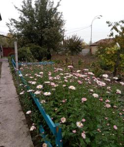 Zahrada ubytování Коттеджный городок Вита -литовская, Голосеевский район, Динамо, Конча-Заспа