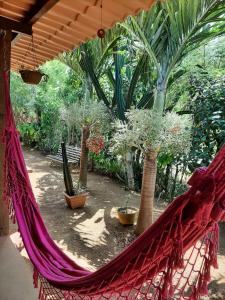 una hamaca en un jardín con palmeras y plantas en Casa da Marluce, en Fernando de Noronha