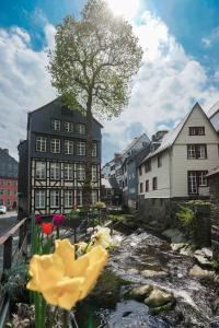 a river in a city with flowers and buildings at LOFT13 Traumhafte Wohnung mit Terrasse für 8 Gäste in Monschau