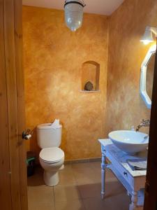 a bathroom with a toilet and a sink at Riudaura in Riudaura