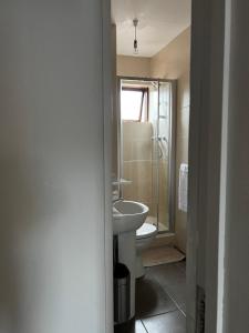 a bathroom with a toilet and a sink and a shower at Woodquay House in Galway