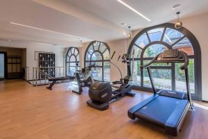 Fitnesscentret og/eller fitnessfaciliteterne på Modern 2BR 5* pool gym spa garage Mont-Blanc view