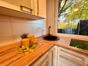 cocina con encimera con fregadero y ventana en Ferienhaus Harzblick, en Meisdorf