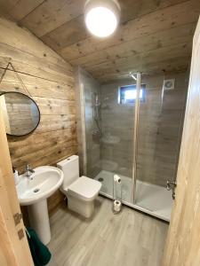 uma casa de banho com um WC, um chuveiro e um lavatório. em The Paddock em Bredon