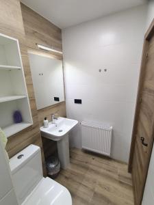 Koupelna v ubytování Cal Perico, apartmento para turistas y escaladores + 11 fotografií