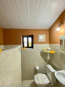 a bathroom with a toilet and a sink at Pousada Le Monte Cristo in Guaramiranga