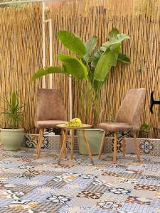 a room with two chairs and a table and a plant at Cosy appartement Next to Majorelle Garden in Marrakech