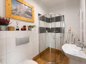 a bathroom with a shower and a toilet and a sink at Apartamenty U Harrego I Przy Stawie Spa in Kudowa-Zdrój