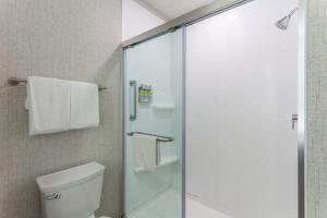 a bathroom with a toilet and a glass shower at Holiday Inn Express Rockford-Loves Park, an IHG Hotel in Loves Park