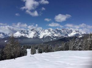 a snow covered mountain range with trees and snow at Monica in Santo Stefano di Cadore