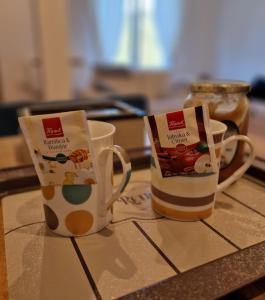 Παροχές για τσάι/καφέ στο Apartman Crystal Vlašić +7 φωτογραφίες