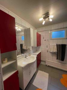 uma casa de banho com um lavatório, um espelho e armários vermelhos em Wiesbaden Mainz kleines Haus mit Garten Grill em Wiesbaden
