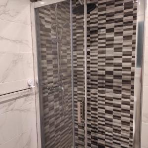 een douche met een glazen deur in de badkamer bij Apartamento Amezti in Elizondo
