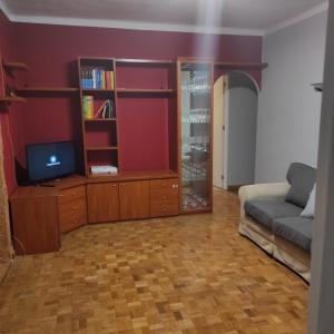 a living room with a couch and a tv at Apartamento Amezti in Elizondo