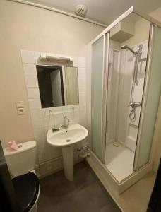 a bathroom with a shower and a sink and a toilet at Détente au Centre-Ville - Lons-le-Saunier in Lons-le-Saunier
