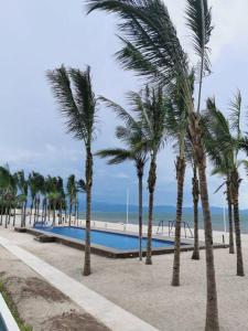una fila de palmeras y una piscina en la playa en Condominio del faro frente a playa en Nuevo Vallarta 