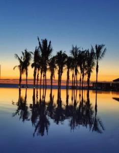 un groupe de palmiers réfléchissant dans l'eau dans l'établissement Condominio del faro frente a playa, à Nuevo Vallarta