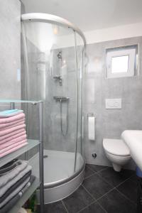 ein Bad mit einer Dusche, einem WC und einem Waschbecken in der Unterkunft Apartments for families with children Zdrelac, Pasman - 8424 in Ždrelac