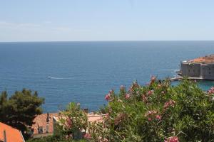 Fotografia z galérie ubytovania Apartments by the sea Dubrovnik - 8824 v Dubrovníku