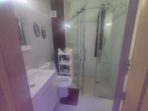 a bathroom with a shower and a toilet and a sink at Ap 2ch city centre parking en face Hilton a cote du plage in Tangier
