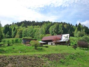 a house in the middle of a field with trees at Agrowczasy Góry Bystrzyckie in Bystrzyca Kłodzka