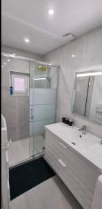 uma casa de banho com um chuveiro, um lavatório e um espelho. em petite maison chaleureuse du GR34 em Lampaul-Plouarzel