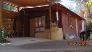 Domácí mazlíčci ubytovaní s hosty v ubytování Cabaña hostal Ema
