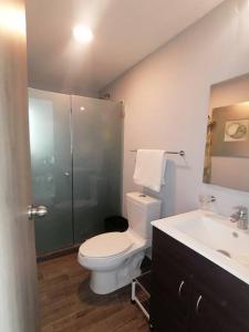 een badkamer met een toilet, een douche en een wastafel bij Apartamento cerca de Centro CitiBanamex in Mexico-Stad