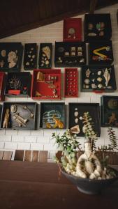 a wall with a bunch of pictures on a wall at Lagoa Nômade Hostel in Florianópolis