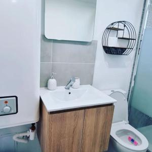 łazienka z umywalką i toaletą w obiekcie Studio le moutik du bord de mer parking calme jardin w mieście Lampaul-Plouarzel