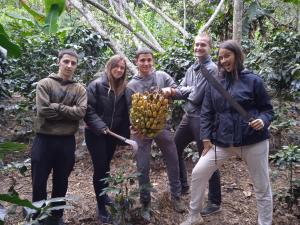 a group of people holding a bunch of bananas at Lia B&B Lucmabamba in Sahuayacu