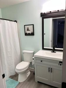 a bathroom with a toilet and a sink and a mirror at Bearcub Chalet in Big White