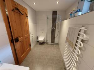 a bathroom with a shower and a toilet and a door at Alte Mühle in Röthis