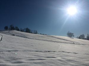 UBYTOVÁNÍ u BRABANTÍKA durante l'inverno