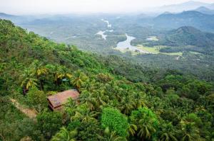 a house on top of a hill with palm trees at amã Stays & Trails The Malabar Villa Heliconia, Kozhikode in Wayanad +3 photos