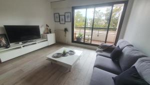 uma sala de estar com um sofá, uma televisão e uma mesa em Le Sperata - Bel appartement en centre ville avec 2 chambres, terrasse et parking em Pau